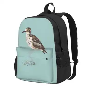 Буш-каменный кроншнеп-австралийская птица на аквамариновом рюкзаке подростка-студента колледжа, ноутбуке, дорожных сумках, Буш-каменном кроншнеп Австралийский