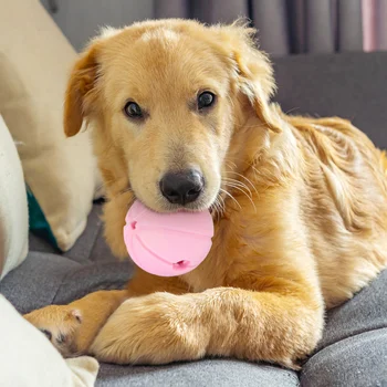Игрушка-шарик для раздачи лакомств для собак, интерактивная игрушка для собак, игрушка для жевания собак, латексная игрушка для собак