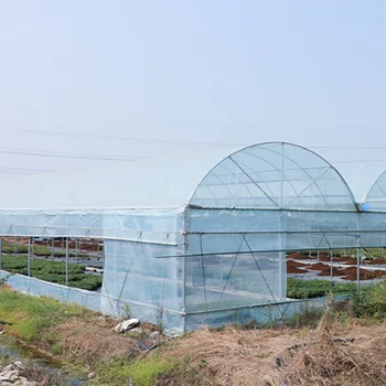 Высококачественная пластиковая тепличная пленка шириной 6 м, наружное покрытие для плодоовощных растений, Непромокаемая, сохраняющая тепло Прозрачная пленка