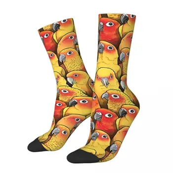 Мужские носки в стиле Ретро Sun Conures Parrot Pet Bird Унисекс в уличном стиле С бесшовным принтом Забавный Экипажный носок В подарок