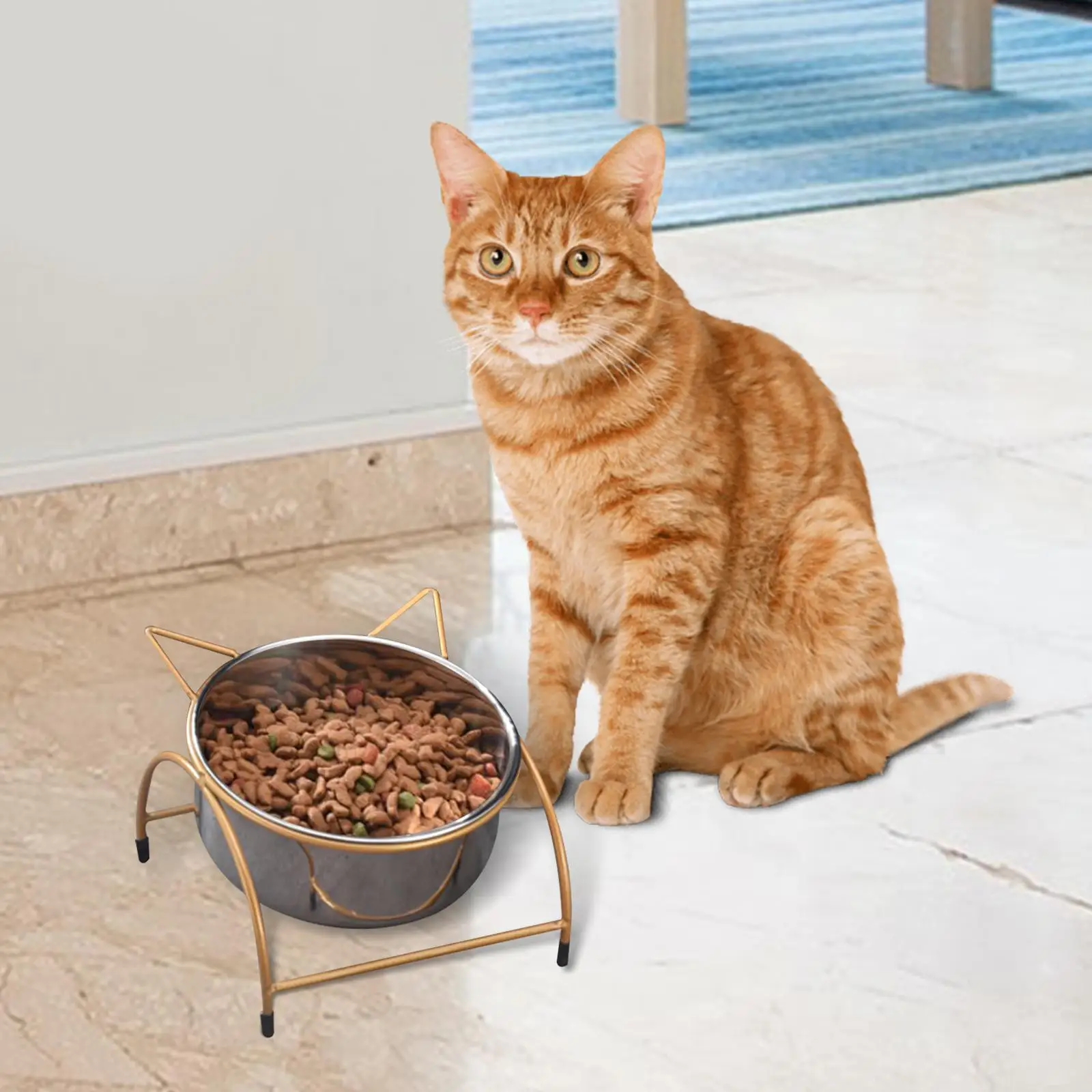 Приподнятая миска для кошек, приподнятая миска для кошек, наклонная кормушка для домашних животных